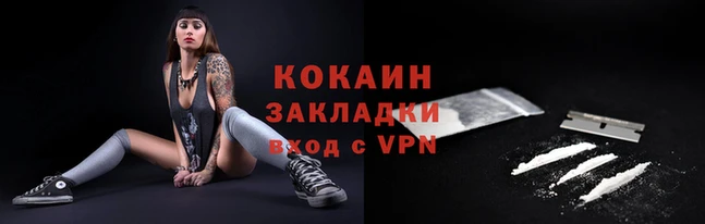стаф Ленинск