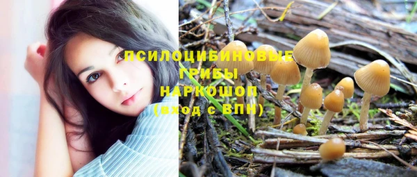 ешки Липки