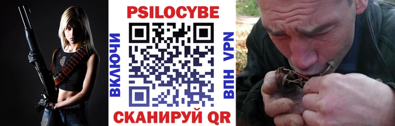 закладки  Малоархангельск  Псилоцибиновые грибы прущие грибы 